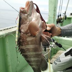 康仁丸・ジギング釣り果